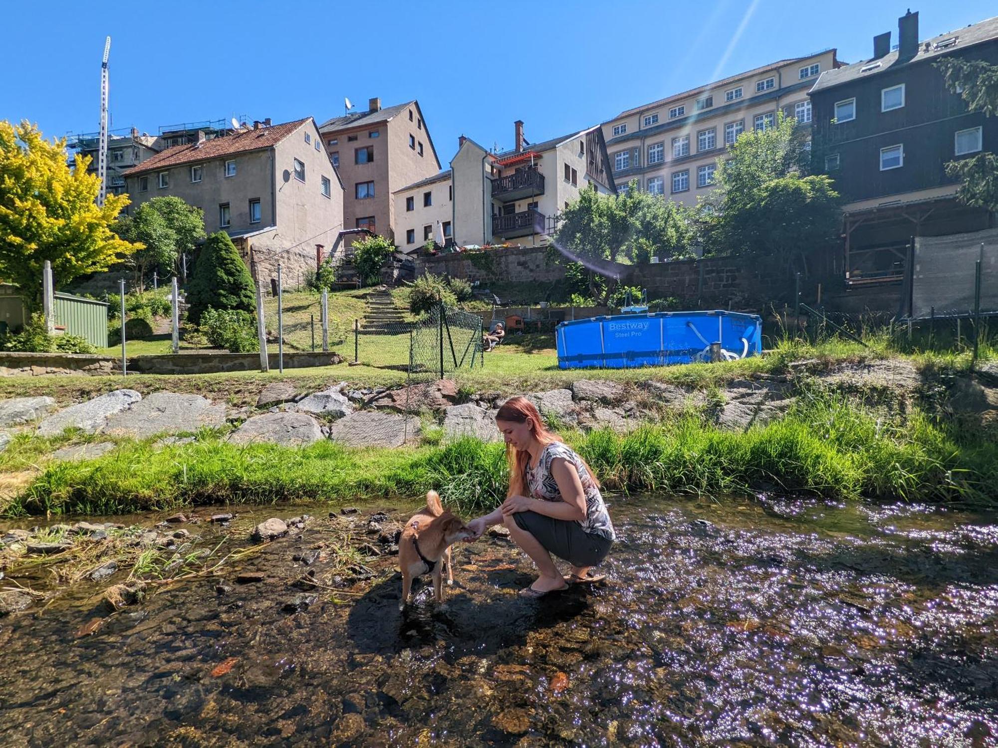 Ut - Urlaubsmagie - Urlaubstraum Mit Whirlpool, Pool & Sauna Sebnitz Exterior photo